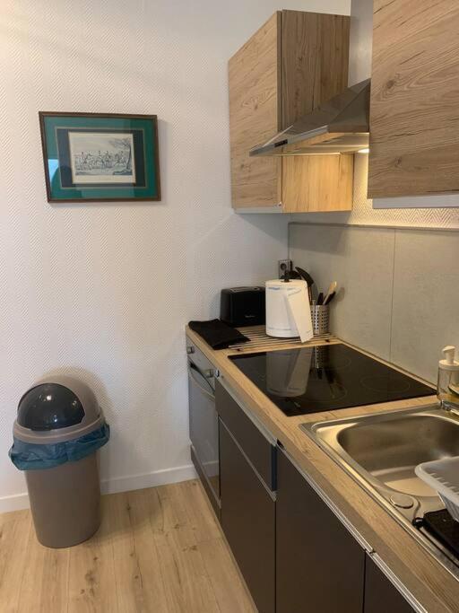 Loft Avec Parking Centre Et Bord Du Cher Loire Valley * Tours