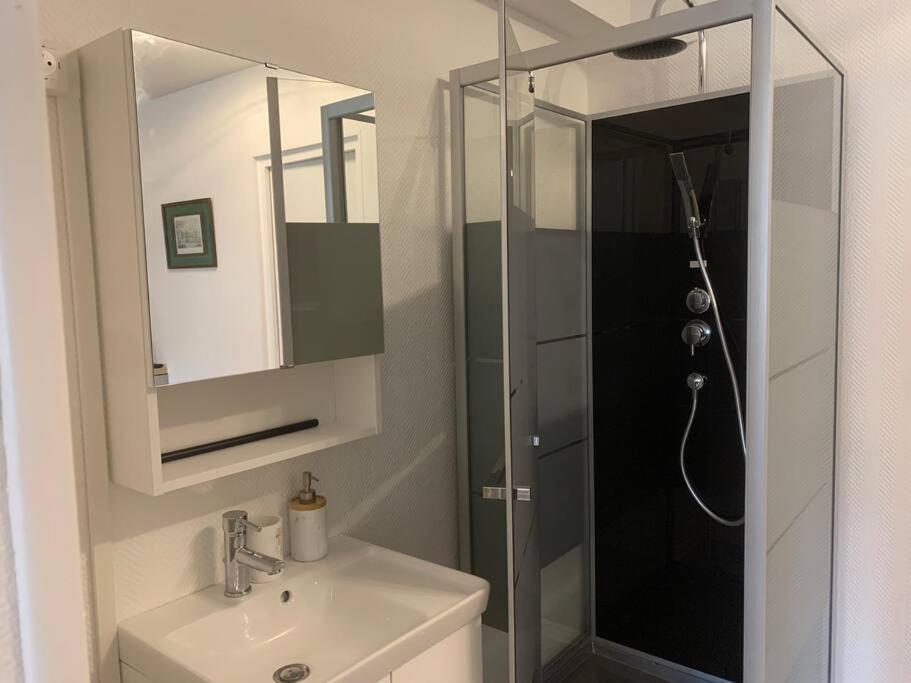 Appartement Loft Avec Parking Centre Et Bord Du Cher Loire Valley Tours