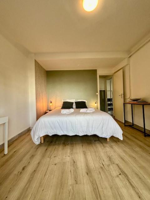 Appartement Loft Avec Parking Centre Et Bord Du Cher Loire Valley