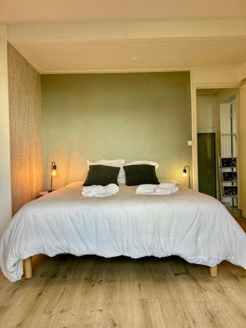 Loft Avec Parking Centre Et Bord Du Cher Loire Valley Appartement Tours